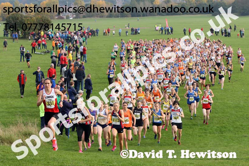 Senior womens Sherman Cup, Temple Park, South Shields. Photo: David T. Hewitson/Sports for All Pics